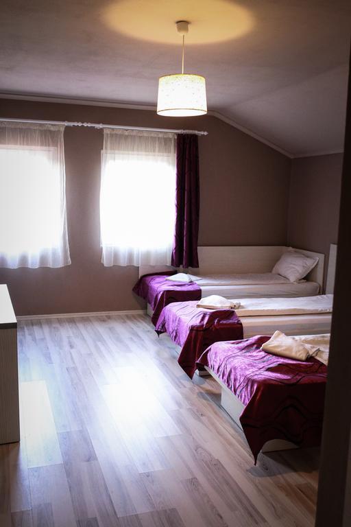 Pensiunea Oxana Lipova Room photo
